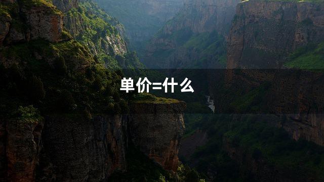 单价=什么
