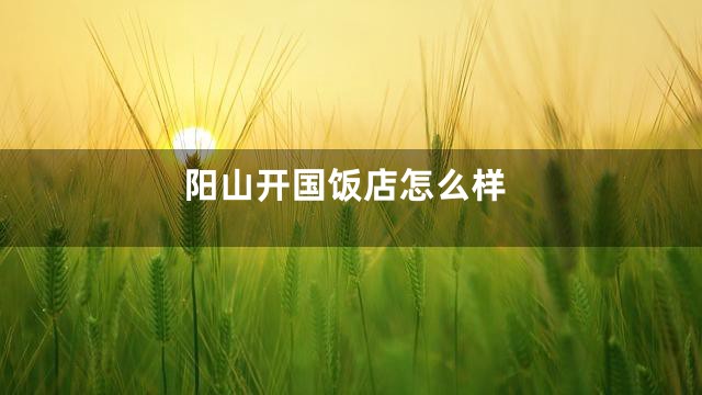 阳山开国饭店怎么样