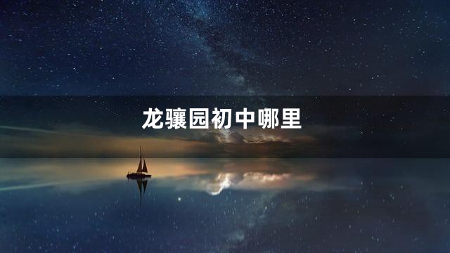 龙骧园初中哪里