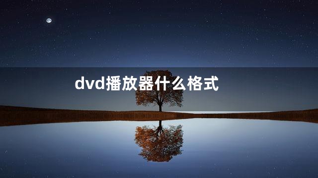 dvd播放器什么格式