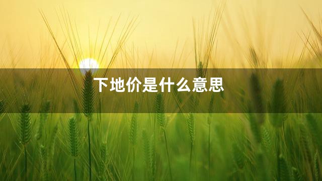 下地价是什么意思