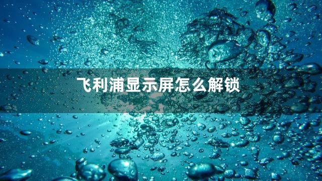飞利浦显示屏怎么解锁