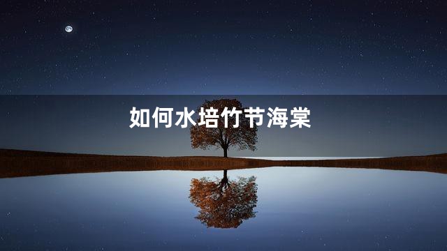 如何水培竹节海棠