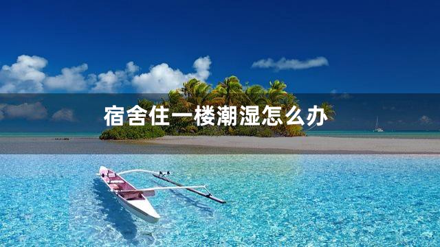 宿舍住一楼潮湿怎么办