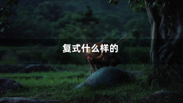 复式什么样的