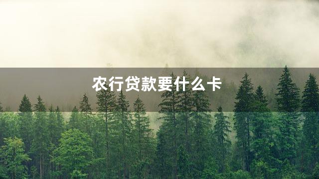 农行贷款要什么卡