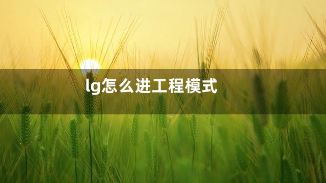 lg怎么进工程模式