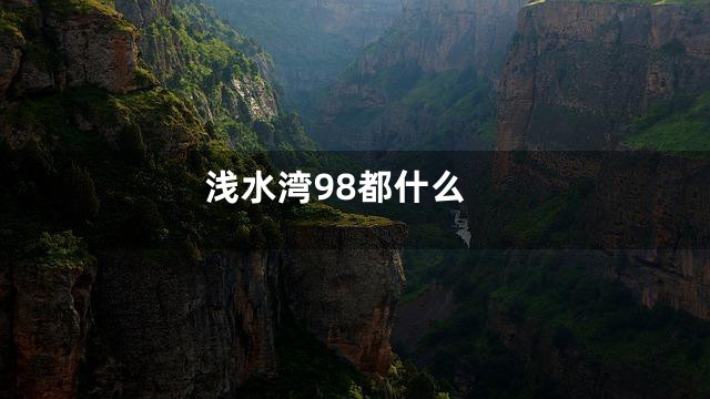 浅水湾98都什么