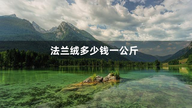 法兰绒多少钱一公斤