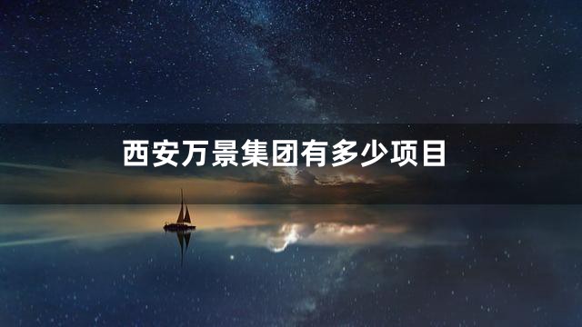 西安万景集团有多少项目