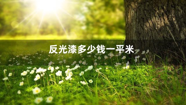 反光漆多少钱一平米