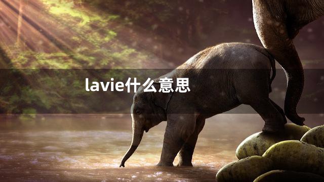 lavie什么意思