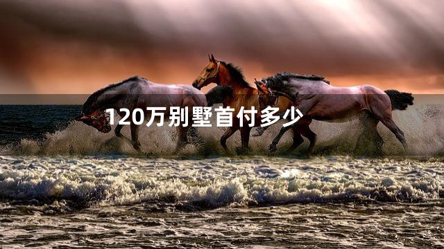 120万别墅首付多少