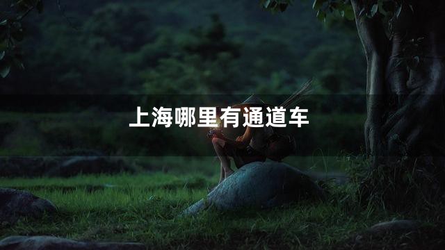 上海哪里有通道车