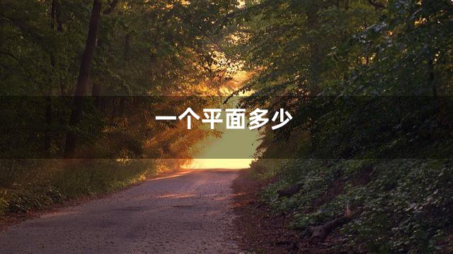 一个平面多少