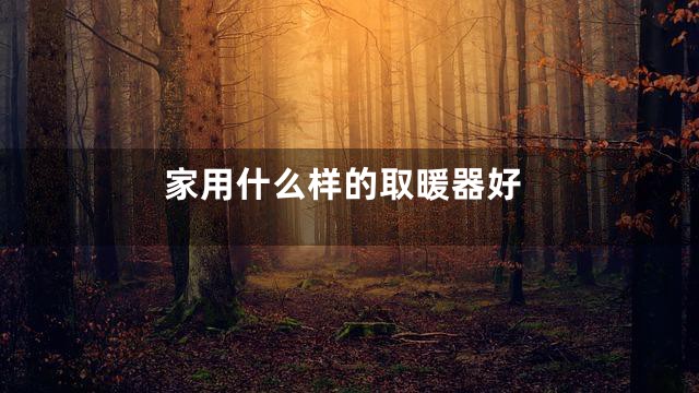 家用什么样的取暖器好