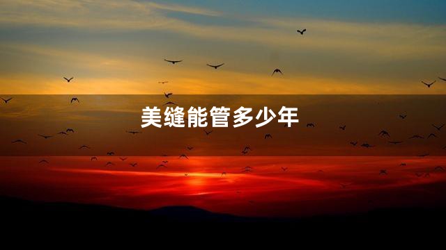 美缝能管多少年