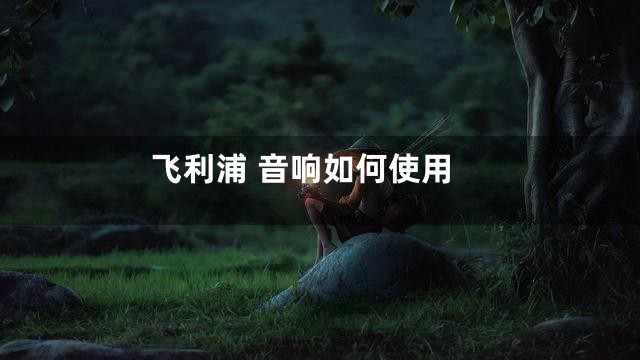 飞利浦 音响如何使用