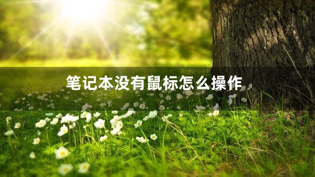 笔记本没有鼠标怎么操作