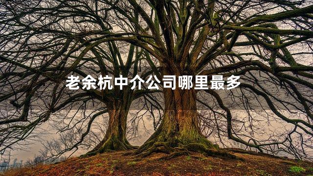 老余杭中介公司哪里最多