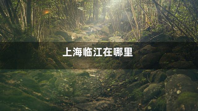 上海临江在哪里