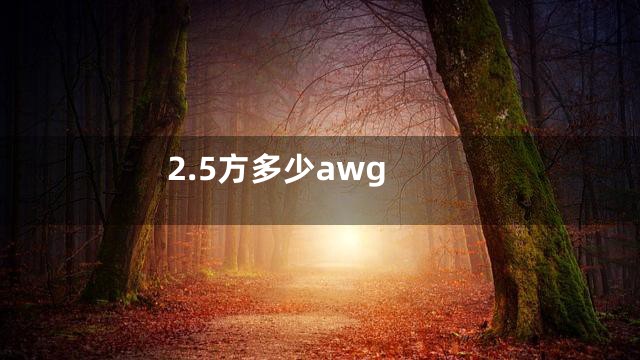 2.5方多少awg