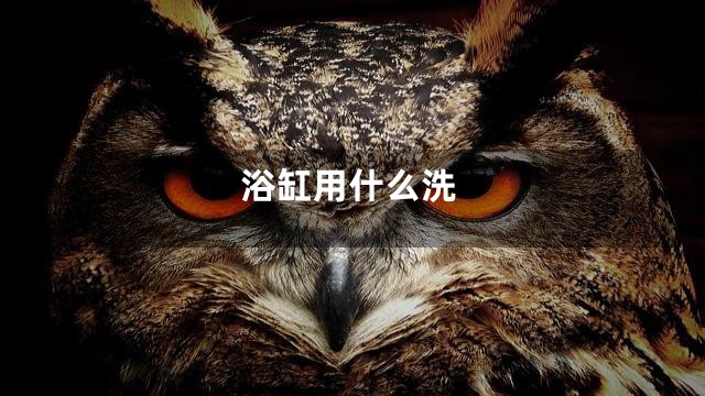 浴缸用什么洗