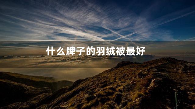 什么牌子的羽绒被最好