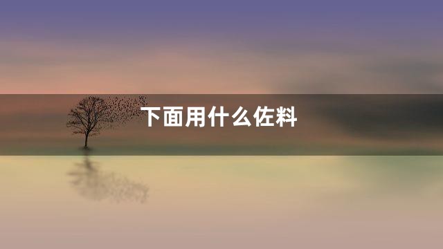 下面用什么佐料