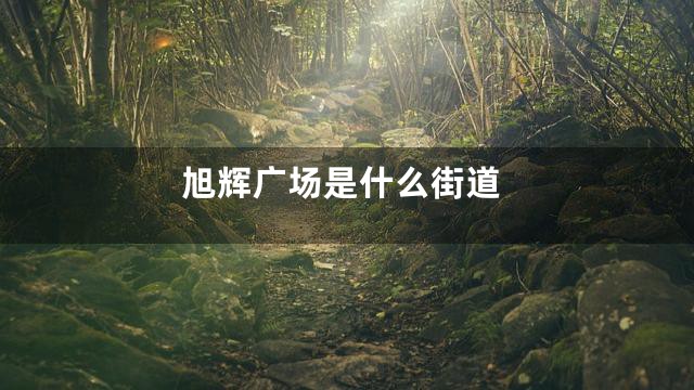 旭辉广场是什么街道