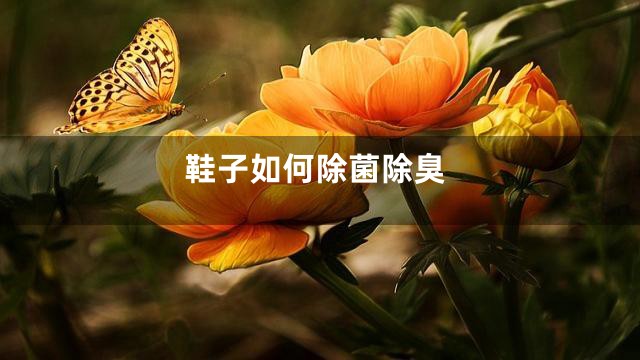 鞋子如何除菌除臭