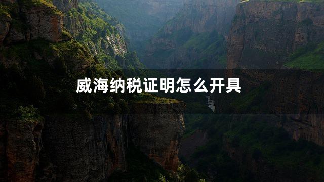 威海纳税证明怎么开具