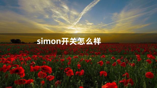 simon开关怎么样