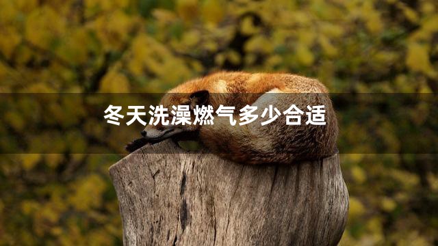 冬天洗澡燃气多少合适