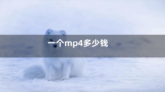 一个mp4多少钱