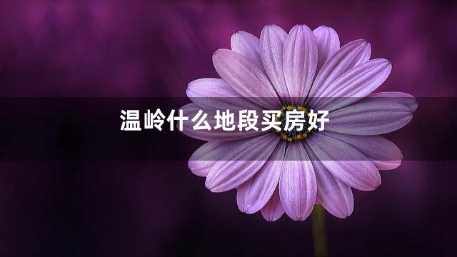 温岭什么地段买房好