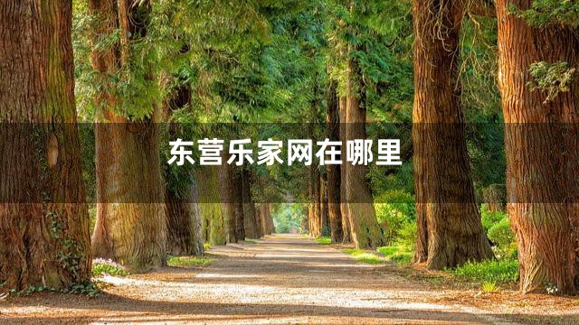东营乐家网在哪里