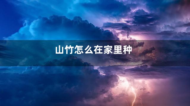 山竹怎么在家里种