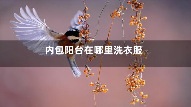 内包阳台在哪里洗衣服