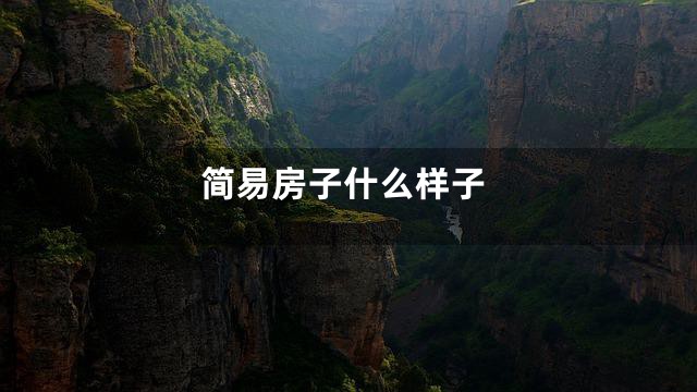 简易房子什么样子