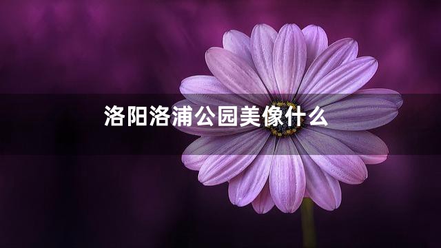 洛阳洛浦公园美像什么