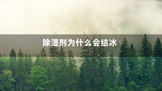 除湿剂为什么会结冰