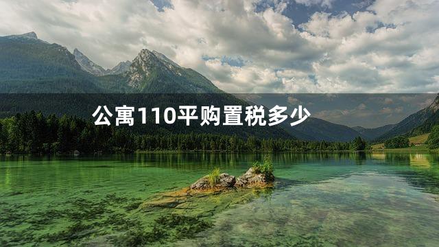 公寓110平购置税多少