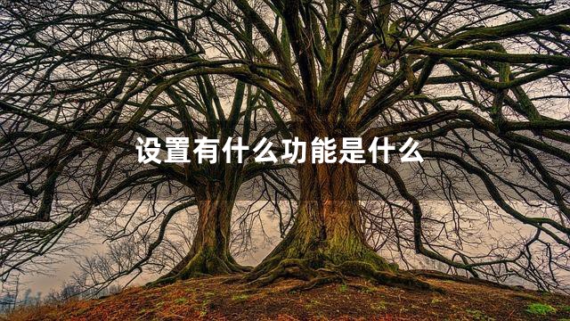 设置有什么功能是什么
