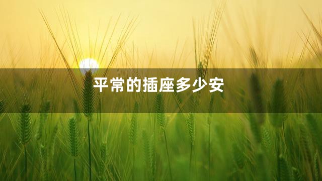 平常的插座多少安