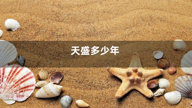 天盛多少年