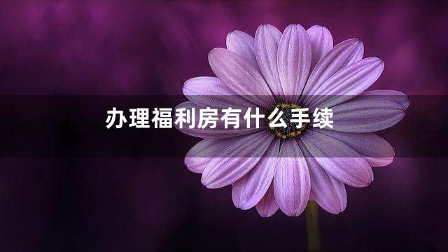 办理福利房有什么手续