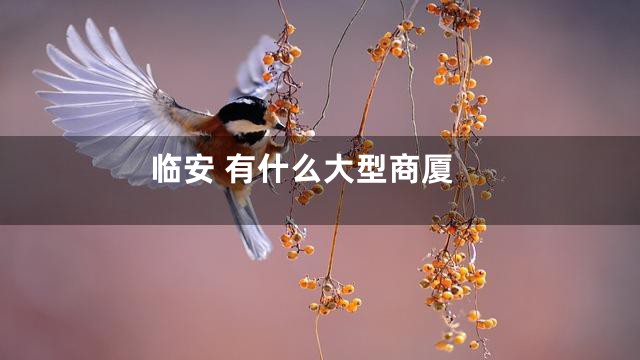 临安 有什么大型商厦