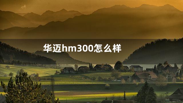 华迈hm300怎么样