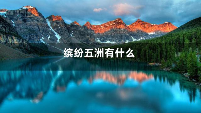 缤纷五洲有什么